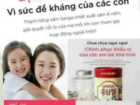 Thạch hồng sâm cho trẻ baby Sanga 1