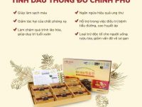 Tinh dầu thông đỏ chính phủ